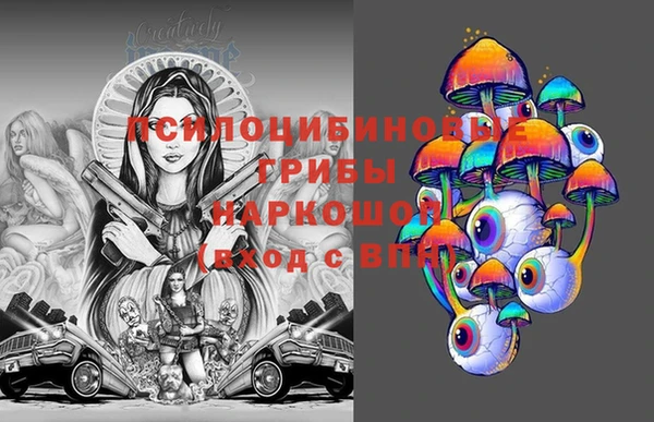 хмурый Новодвинск