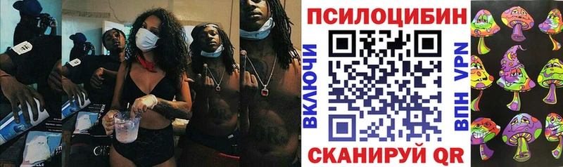 где можно купить Серафимович Псилоцибиновые грибы Magic Shrooms